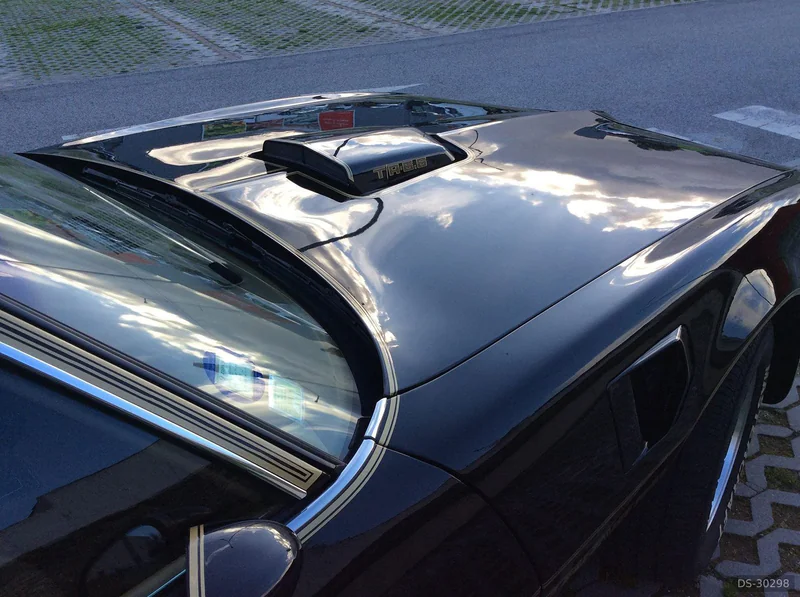 1979 Pontiac Firebird  Trans Am  6.6  V8 in Rio De Mouro 7