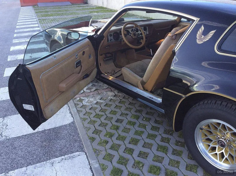 1979 Pontiac Firebird Trans Am 6.6 V8 in Rio De Mouro 4