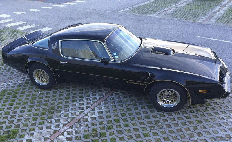 1979 Pontiac Firebird Trans Am 6.6 V8 in Rio De Mouro 5