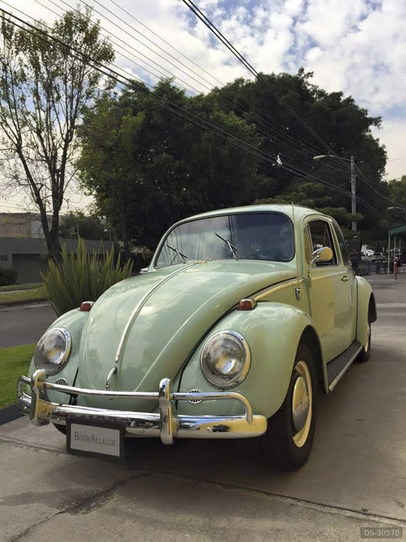 1966 Volkswagen Beetle