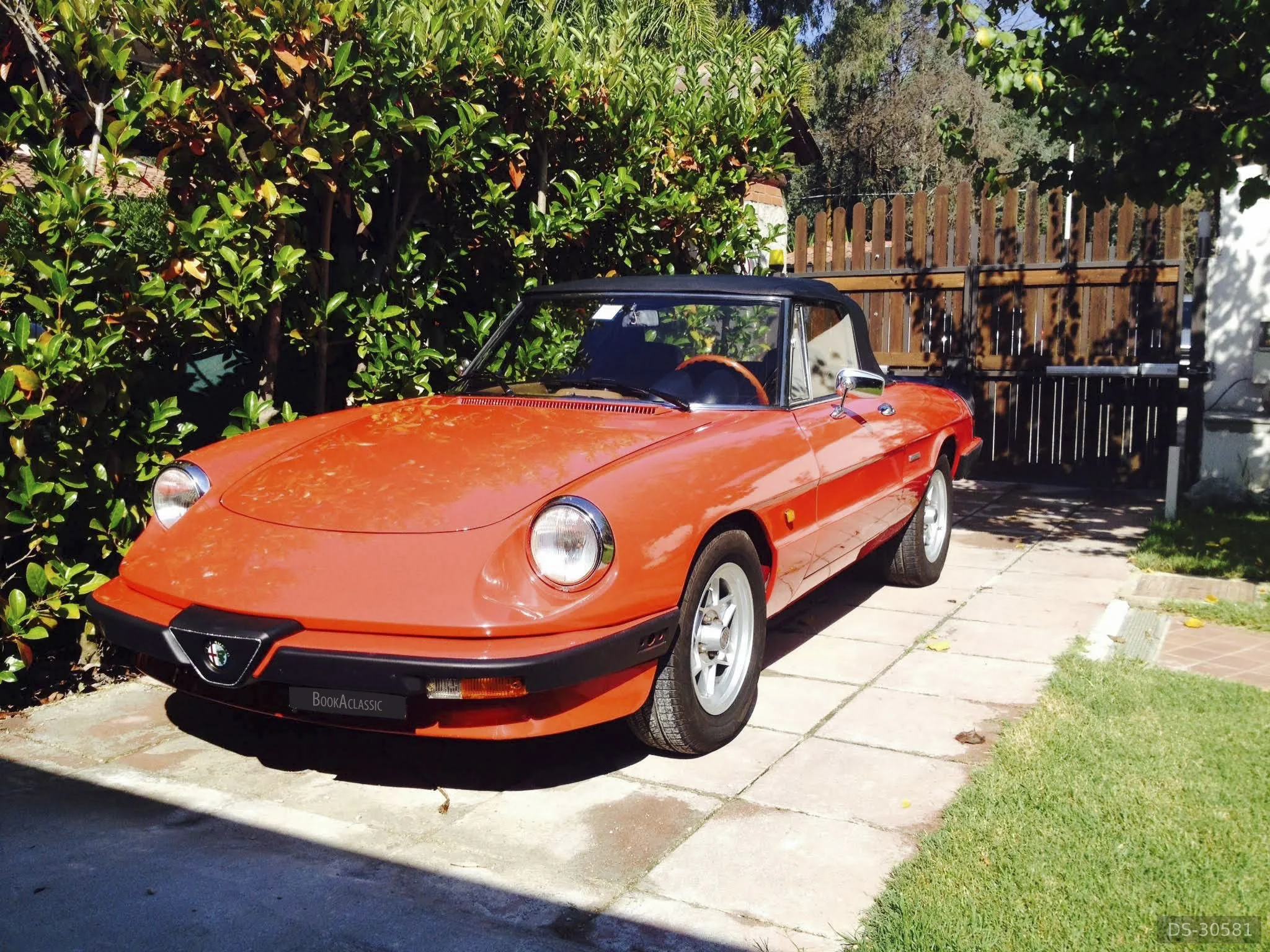 1984 Alfa Romeo Duetto