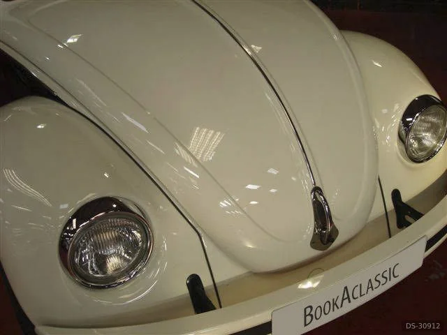 2008 Volkswagen Stretched Beetle Limousine