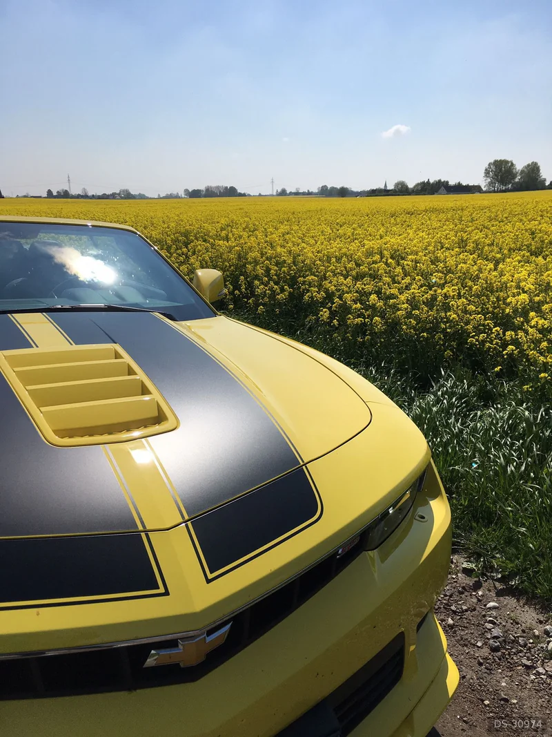 2015 Chevrolet Camaro SS in Vellinge 10