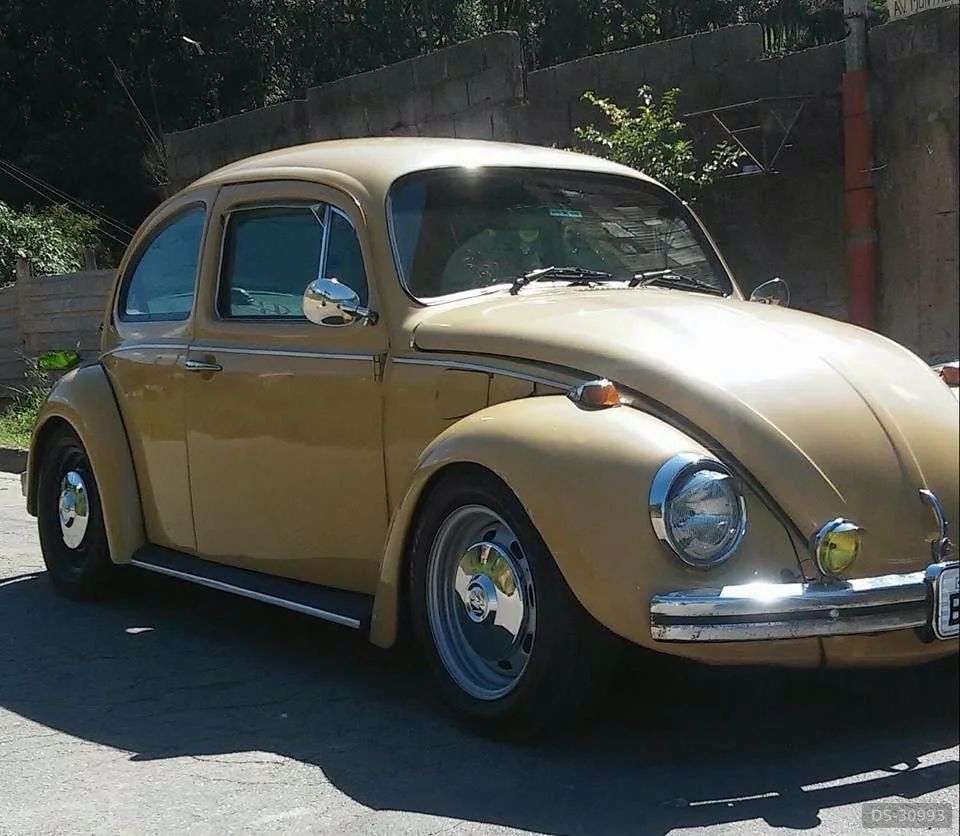 1978 Volkswagen Fusca