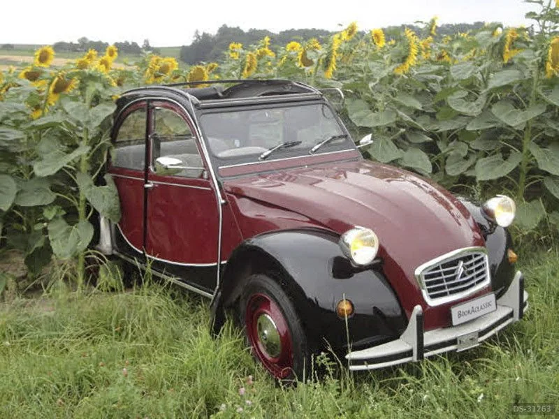 1982 Citroen 2CV6