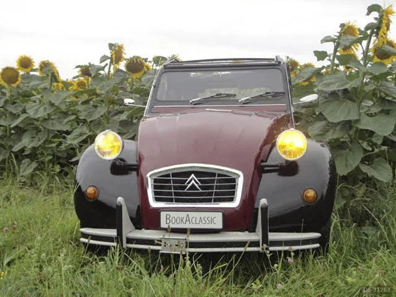 1982 Citroen 2CV6 in Elgg 2