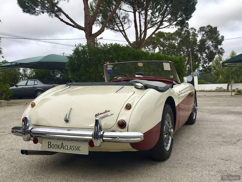 1960 Austin-Healey 3000 in Sintra 5