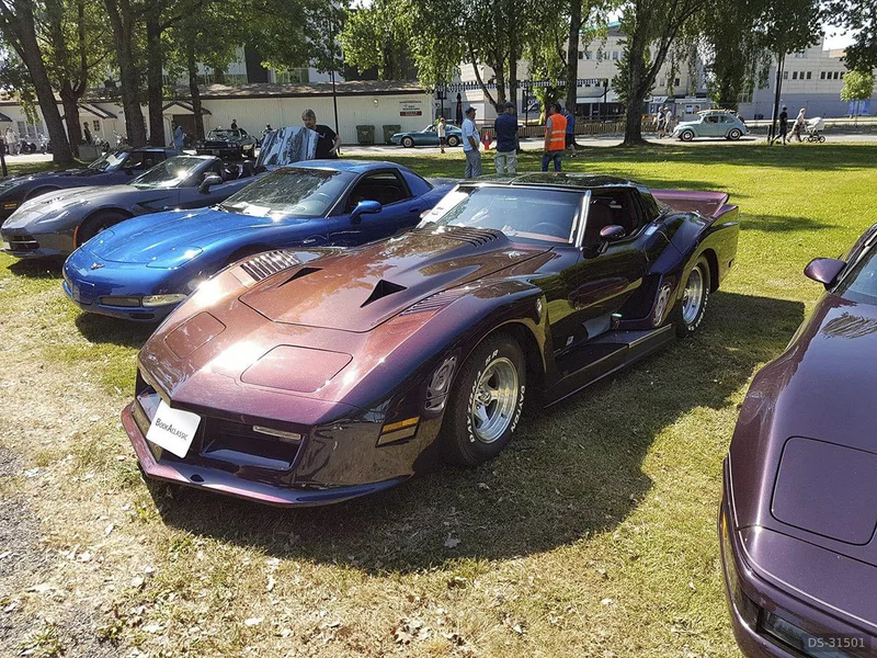 1976 Chevrolet Corvette Daytona in Skien 3