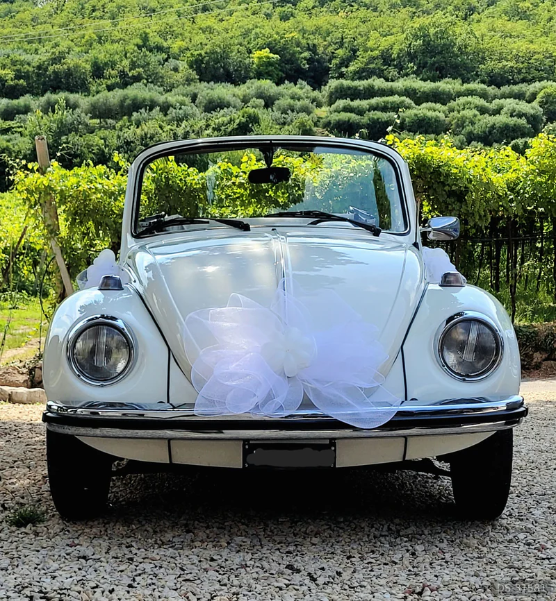 1973 Volkswagen Maggiolone in Verona 5