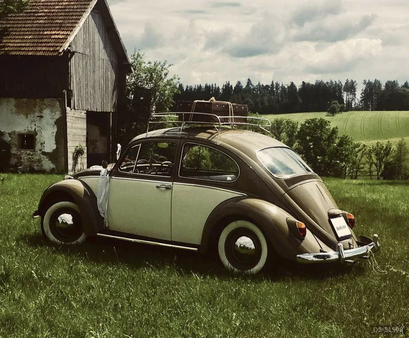 1965 Volkswagen Käfer in Prambachkirchen 2