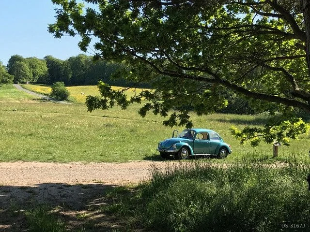 1973 Volkswagen 1303 in Viborg 4