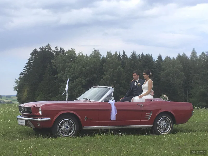 1966 Ford Mustang in Linz 2
