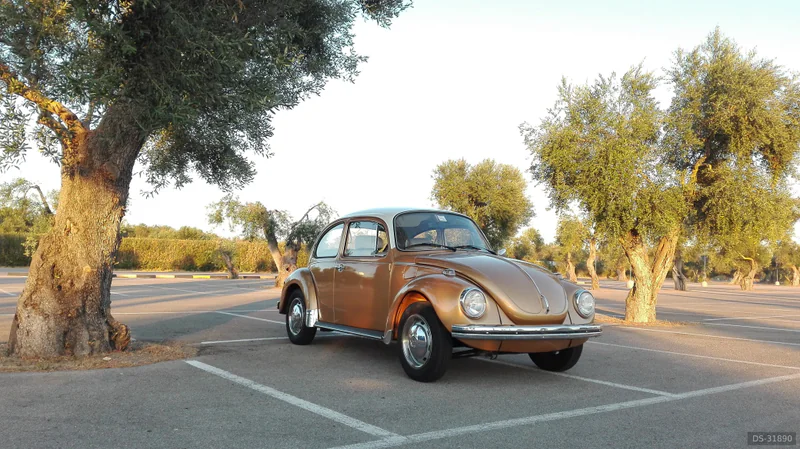 1973 Volkswagen Maggiolone in Lecce 7