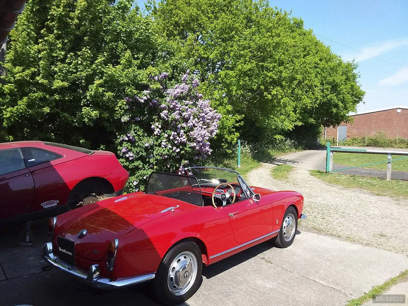 1965 Alfa Romeo Giulia in Braintree 3