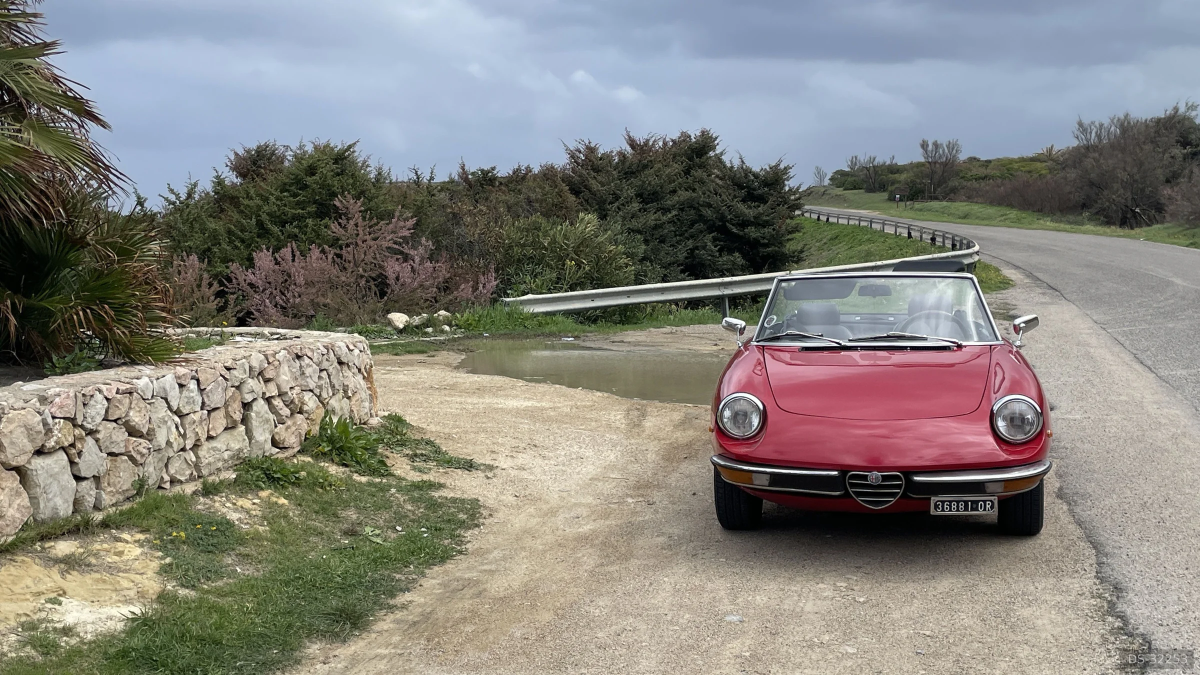 1980 Alfa Romeo Spider