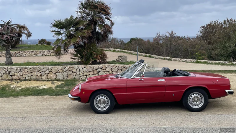 1980 Alfa Romeo Spider in Sassari 4