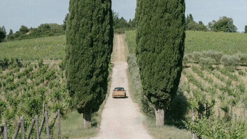 1978 Porsche 911 Targa in Perugia 9