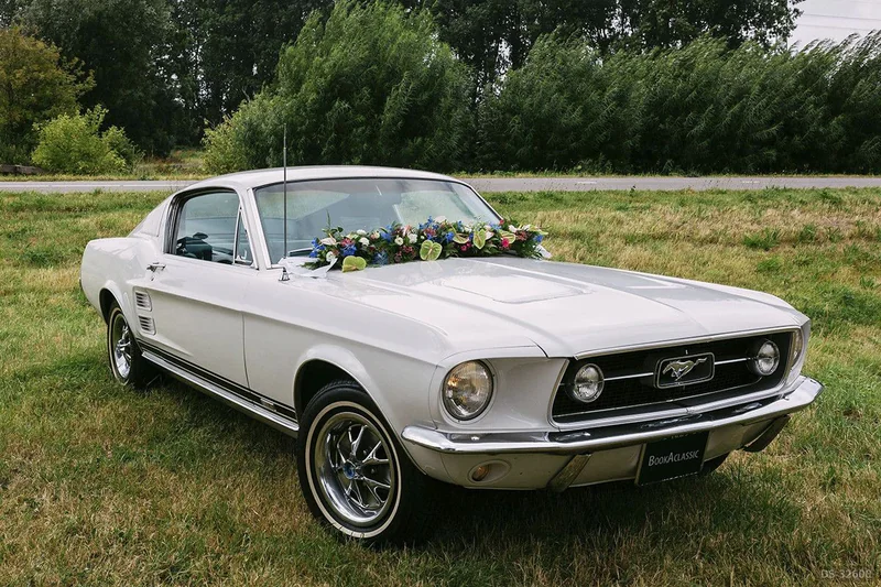 1967 Ford Mustang Shelby Tribute GTA 425pk in Rijswijk 2