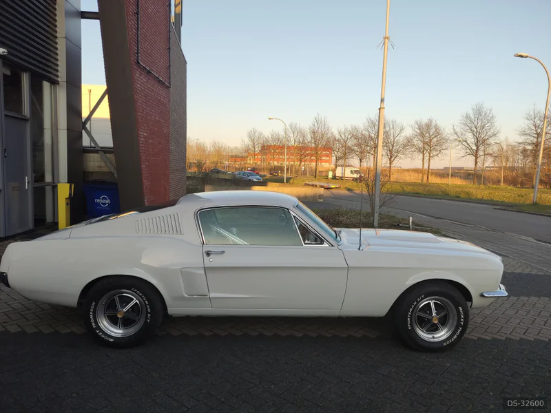 1967 Ford Mustang Shelby Tribute GTA 425pk in Rijswijk 3
