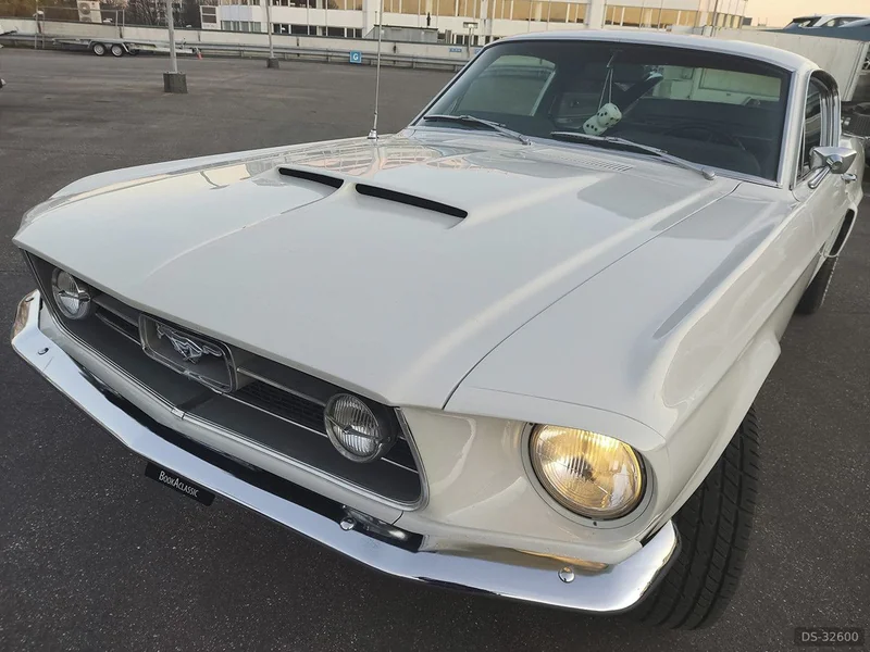 1967 Ford Mustang Shelby Tribute GTA 425pk in Rijswijk 5