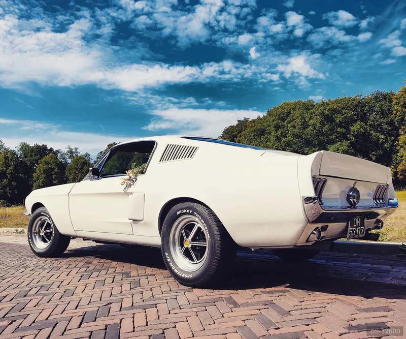 1967 Ford Mustang Shelby Tribute GTA 425pk in Rijswijk 4