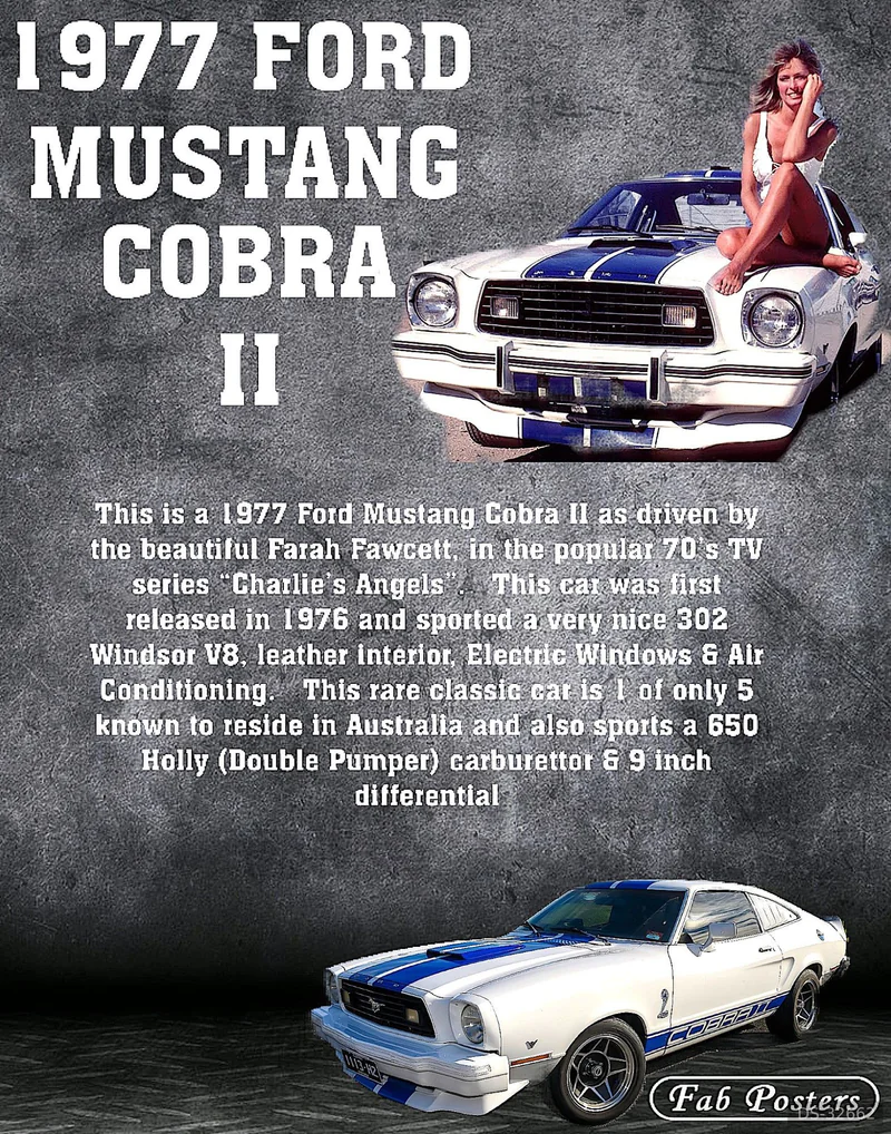 1977 Ford Mustang Cobra 2 in Lalor 10