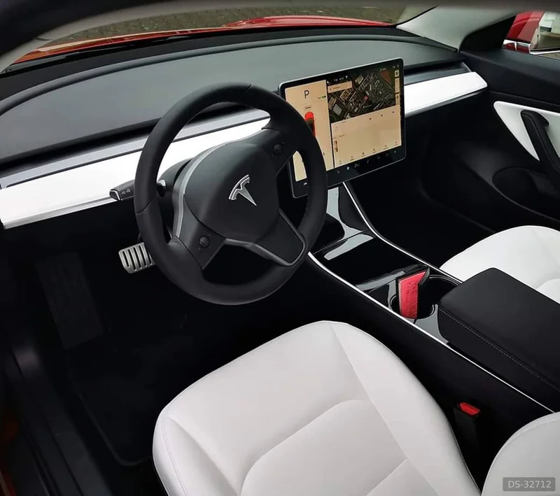 2019 Tesla Model 3 Performance in Praskačka 3
