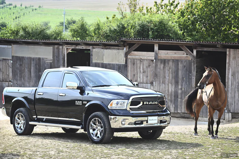 2017 Dodge Ram 2500 in Praha 3