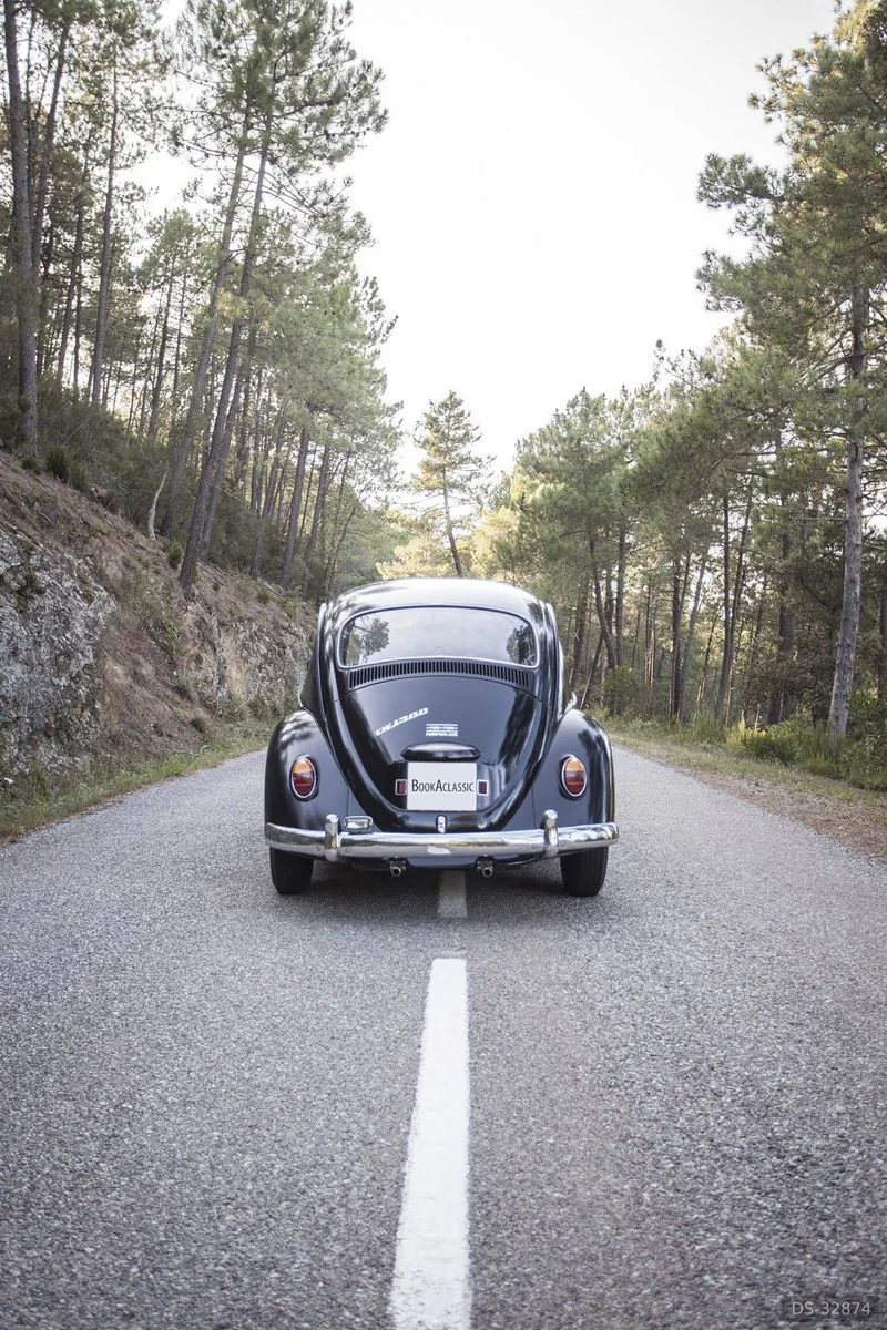 1967 Volkswagen Beetle in Rupià 4