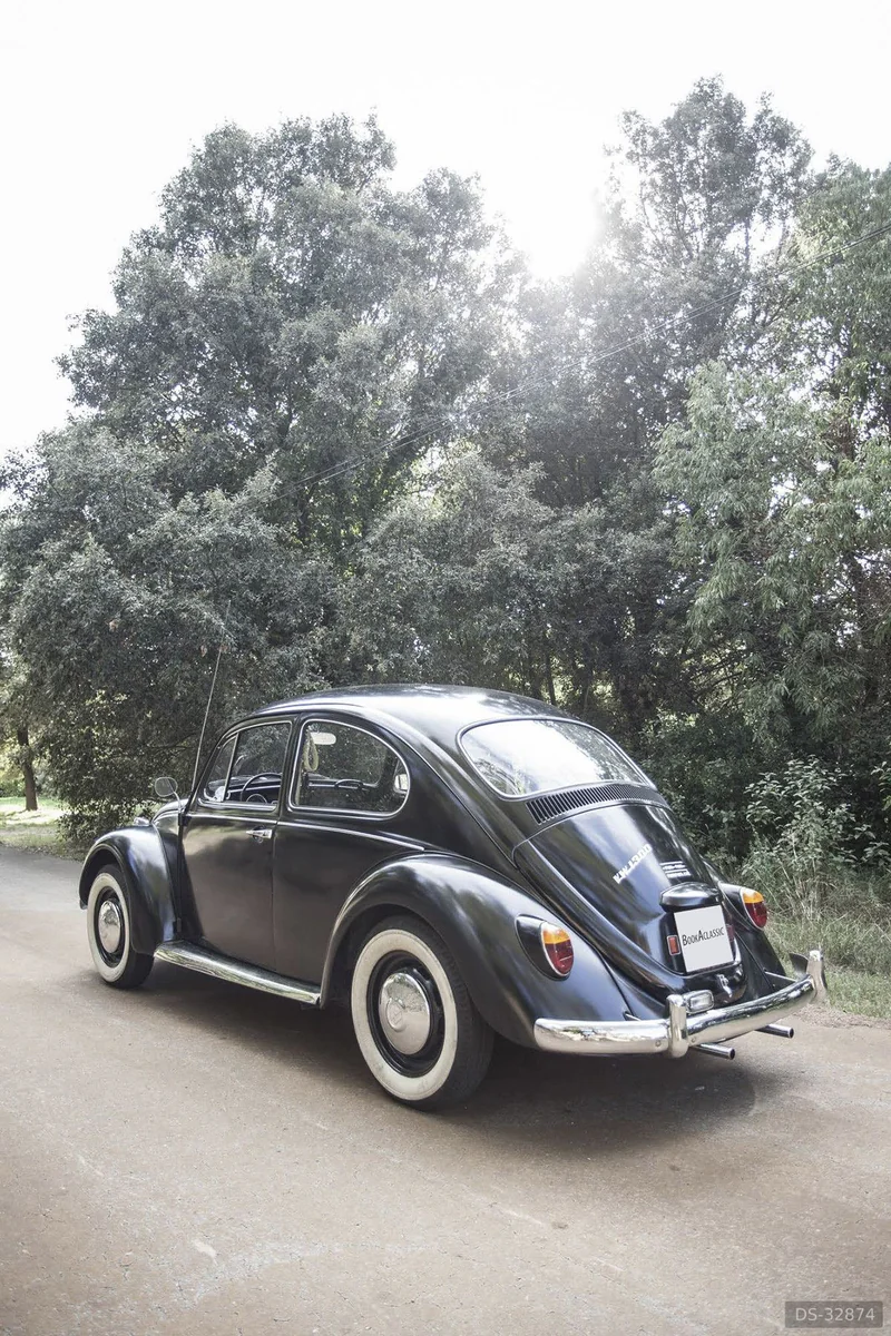1967 Volkswagen Beetle in Rupià 2