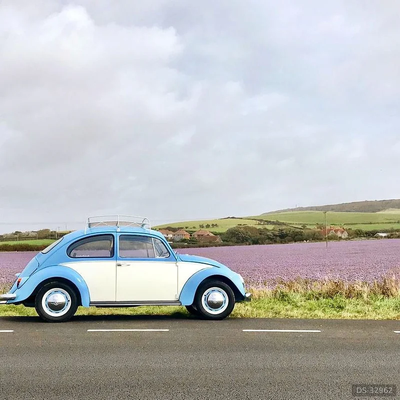 1966 Volkswagen Beetle in Osmington 2