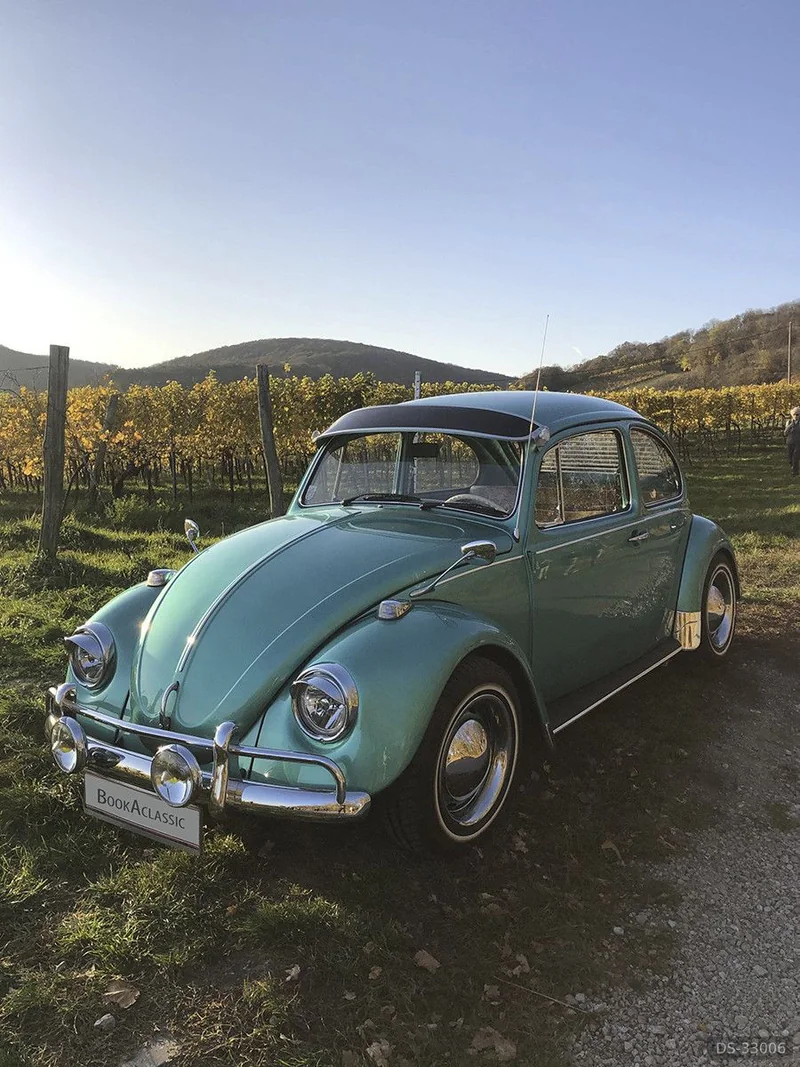 1972 Volkswagen Käfer in Wien 8