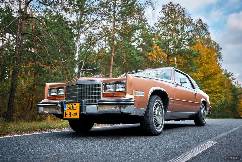 1982 Cadillac Eldorado Biarritz in Siewierz 4