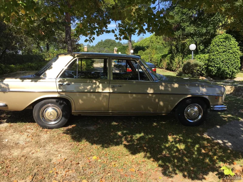 1967 Mercedes-Benz 250 S Serie W108 in Pesaro 4
