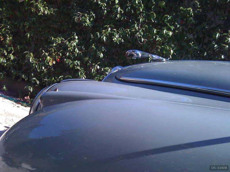1961 Jaguar Mark II in Roma 6