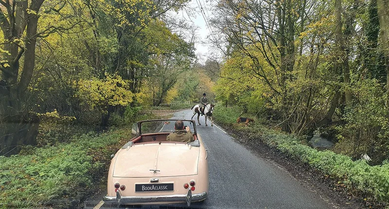 1952 Austin A40 in Brentwood, Essex 4
