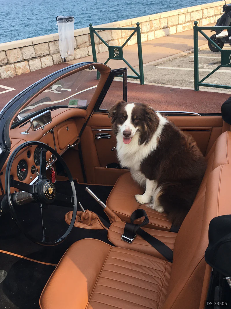 1959 Jaguar Xk 150 in Menton 10