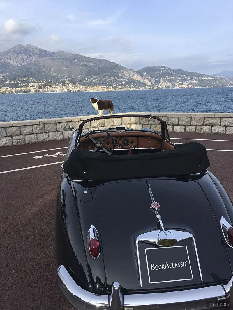 1959 Jaguar Xk 150 in Menton 6