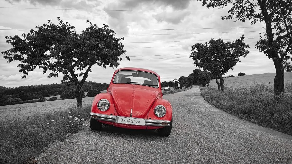 1984 Volkswagen Brouk Mexico