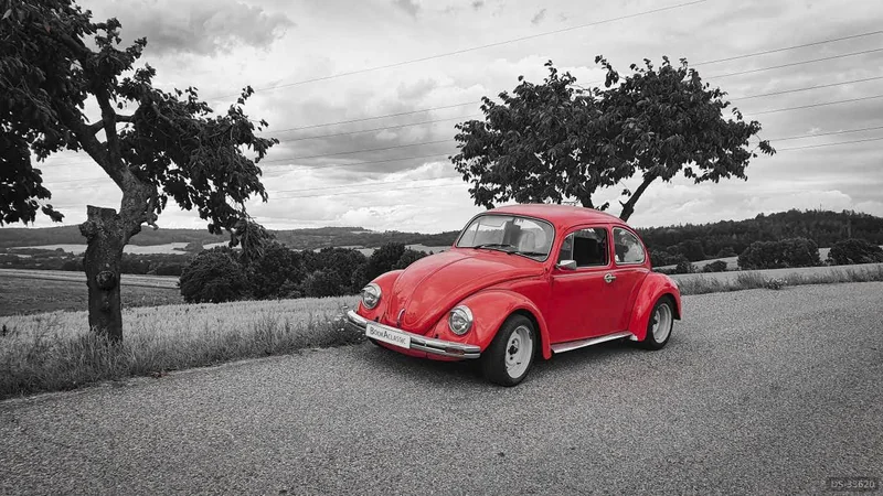 1984 Volkswagen Brouk Mexico in Benešov 2