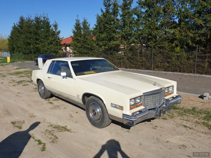 1980 Cadillac Eldorado in Grudziadz 5