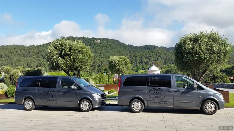 2014 Mercedes-Benz Vito in Sintra 9