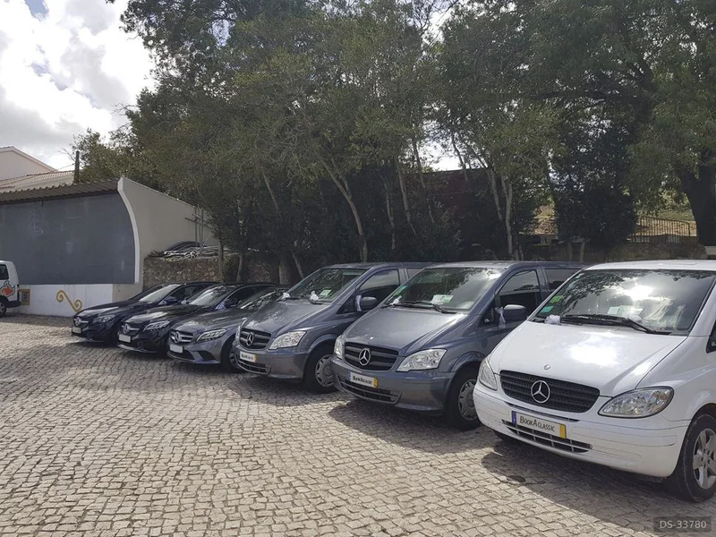 2014 Mercedes-Benz Vito in Sintra 5