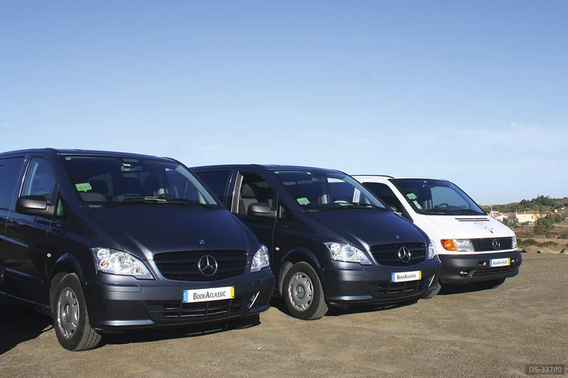 2014 Mercedes-Benz Vito in Sintra 2