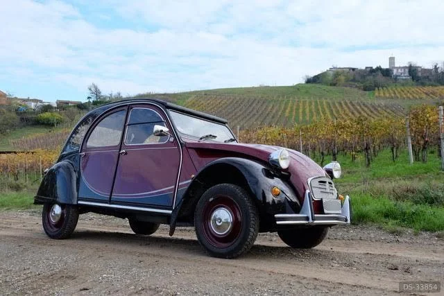 1986 Citroen 2cv Charleston