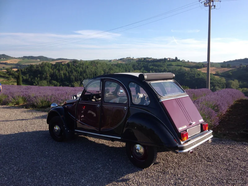 1986 Citroen 2cv Charleston in Bucarest 14