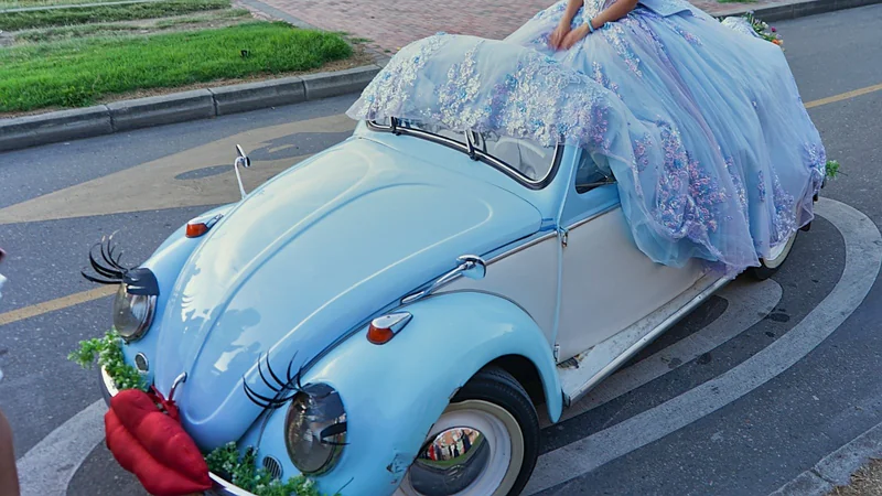 1954 Volkswagen 1954 in Bogota 18
