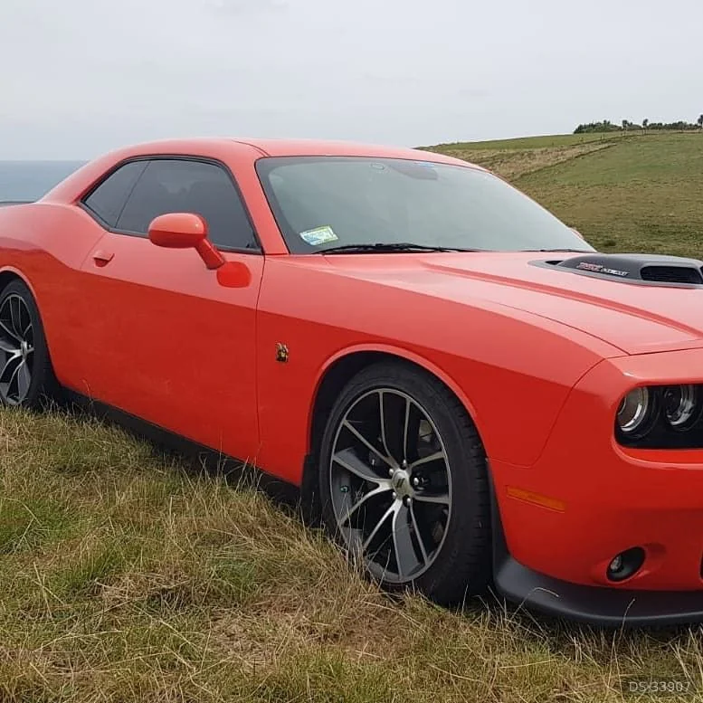 2017 Dodge Challenger in Hanmer Springs