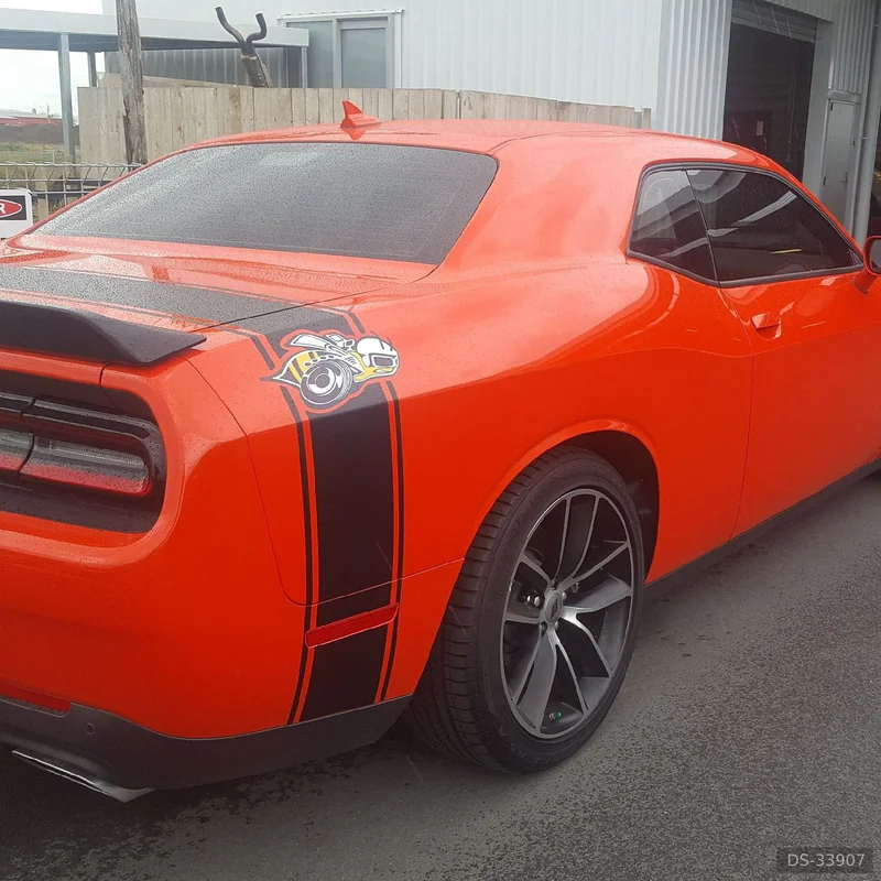 2017 Dodge Challenger in Hanmer Springs 4