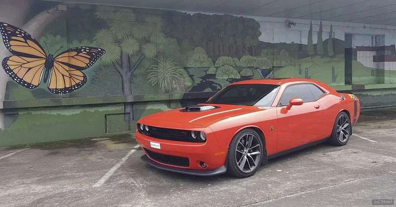 2017 Dodge Challenger in Hanmer Springs 5